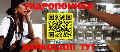 прущие грибы Нягань