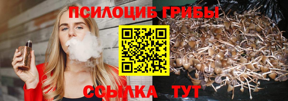 Тамбов  где купить наркотик  Вход с VPN  Галлюциногенные грибы прущие грибы 
