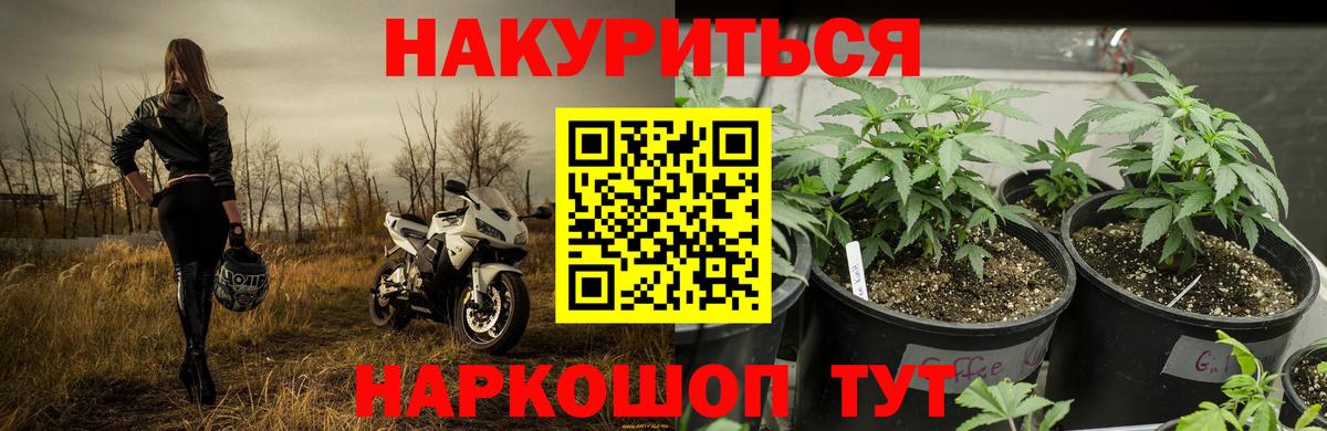 Марихуана гибрид Тамбов